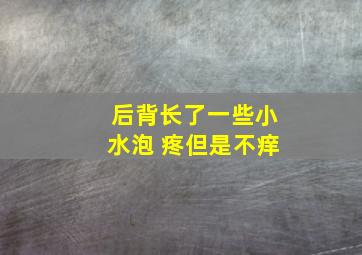 后背长了一些小水泡 疼但是不痒